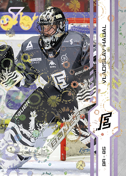Vladislav Habal Karlovy Vary Tipsport ELH 2024/25 SportZoo 2. serie Puck Marks #336